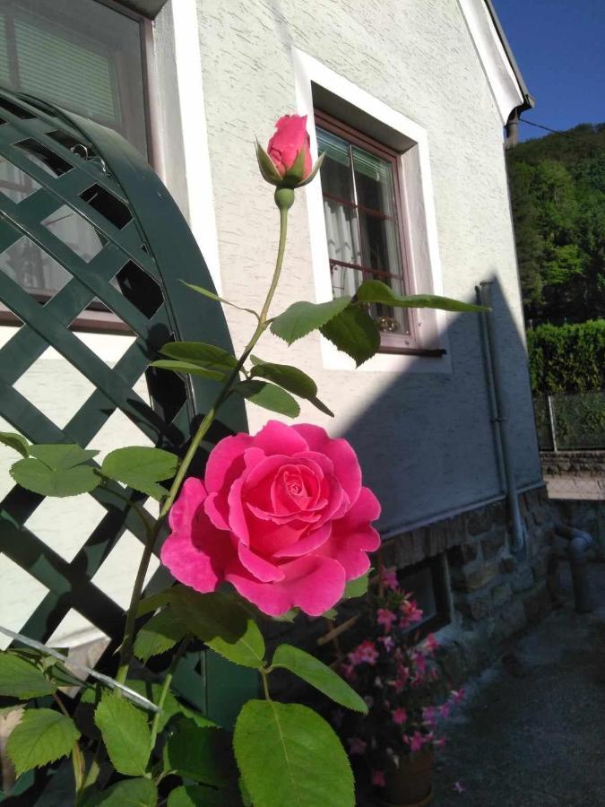 Zu Hause Am Bach Daire Aggsbach Dış mekan fotoğraf